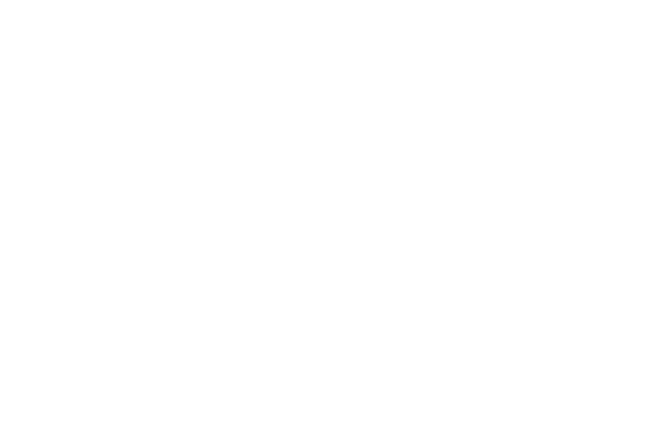 Sebrechts-Pallazzo